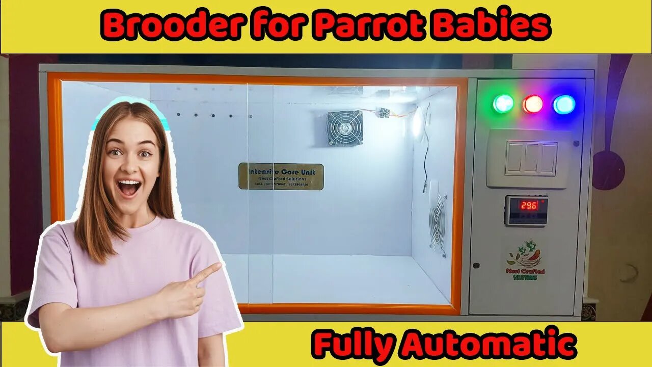 Raising Parrot Babies Made Easy with Our Brooder | Brooder For Parrot Babies