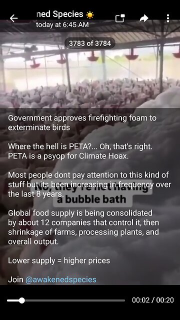 News Shorts: Fire Fighting Foam versus Birds