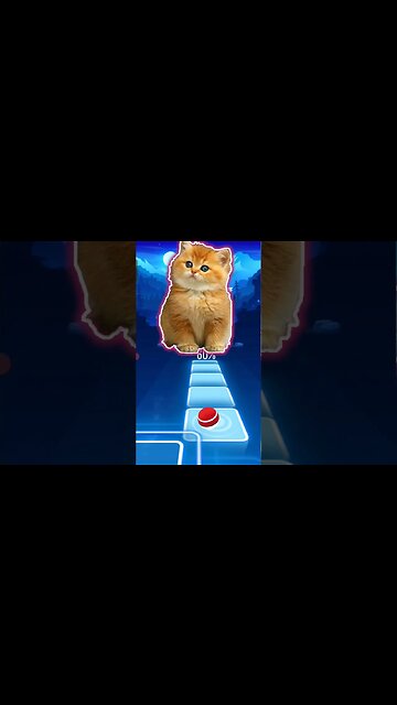 cat sing WAKA WAKA part 2 #shorts #music #cat