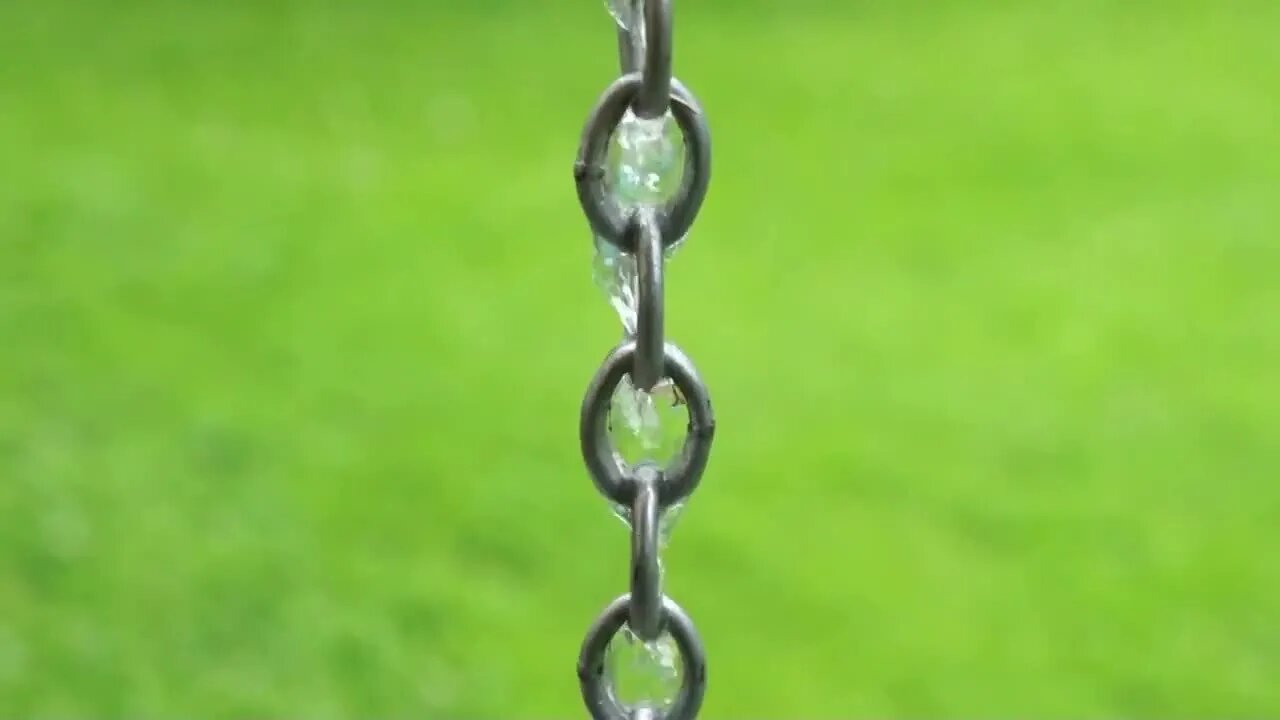 Rain Raindrop Drops Nature Wet Waterdrop Close Up
