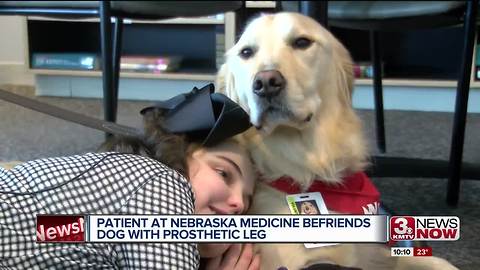 Cancer patient becomes befriends dog with prosthetic leg