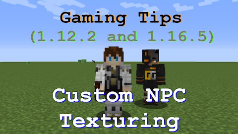 Gaming tips: Minecraft Mods{Custom NPC texturing}