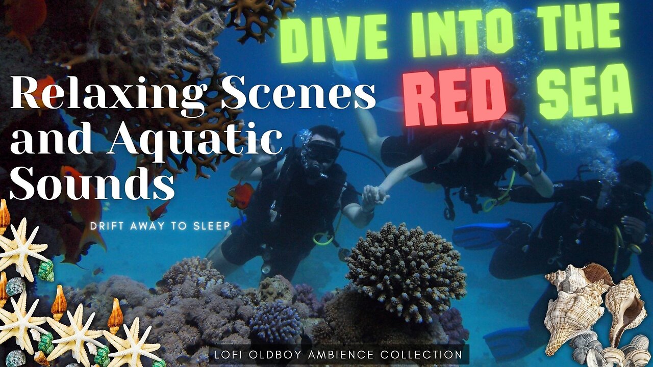 Relaxing Red Sea: stress relief, coral reef video, underwater, Underwater ambience for the mind