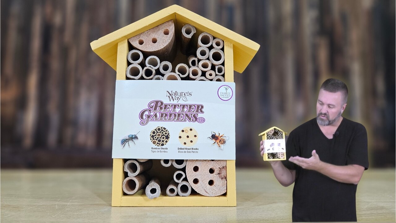 🌼 Transform Your Garden with a Bee Hotel! 🐝