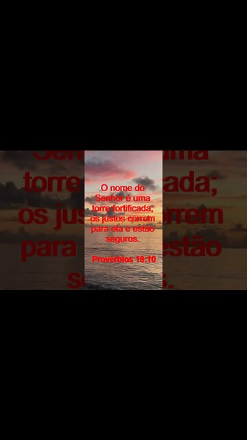 Verso Do Dia | Leitura Inspiradora Para Começar Seu Dia. | 29