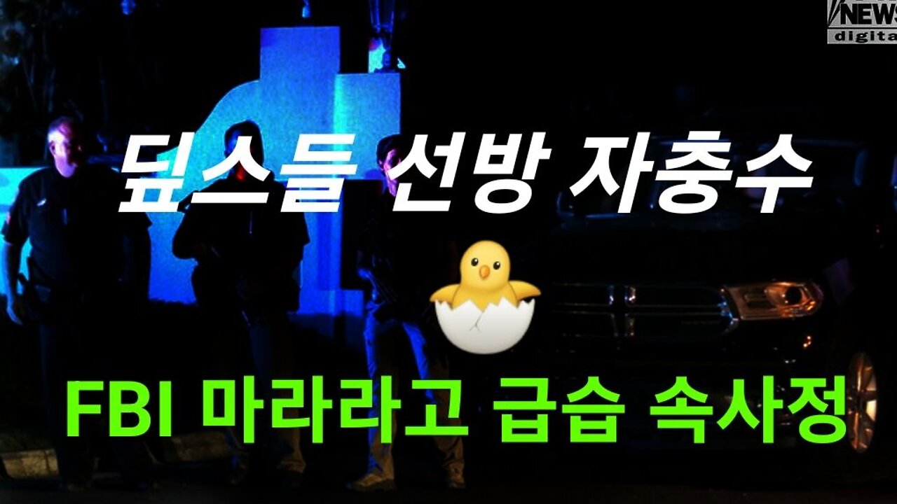 딮스들 선방 자충수! 220810
