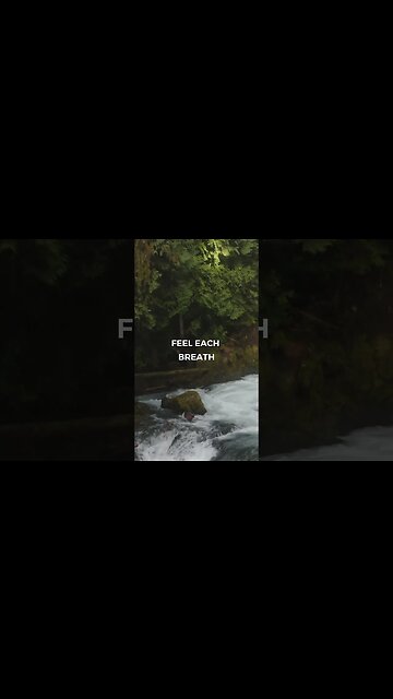 Listen to full meditations at Women's meditation network channel #meditation #sleep #shorts