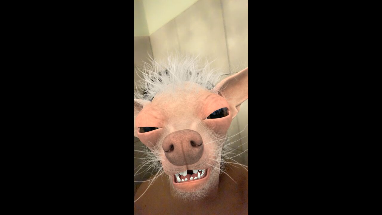Why you take forever in the shower?