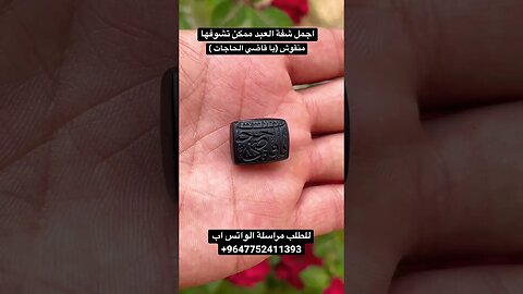 شفة العبد