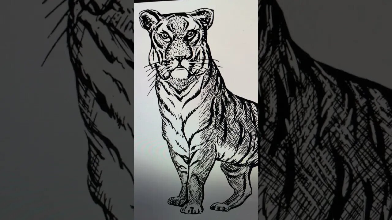 I Want to Sketch ✍🏼 a Tiger 🐅- Shorts Ideas 💡