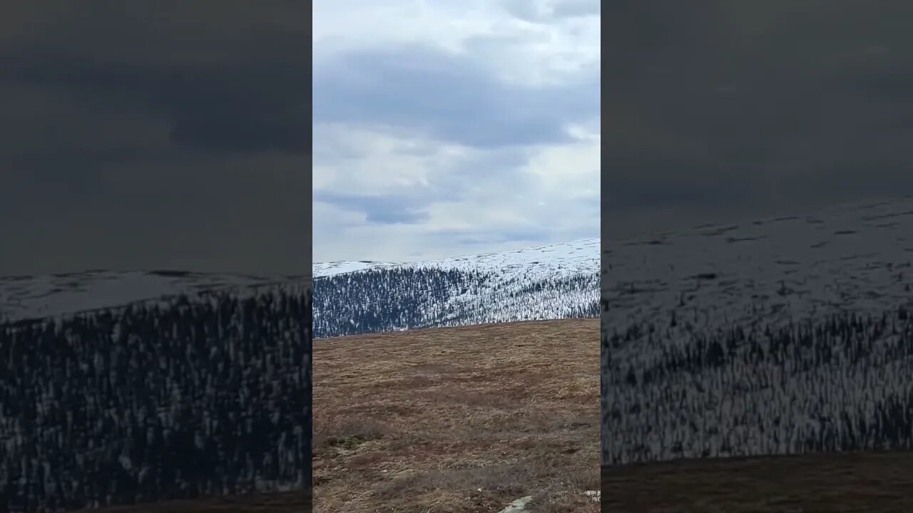 Mountain Range ALASKA