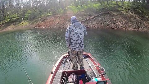 Nice spotted bass from Lake Commanche