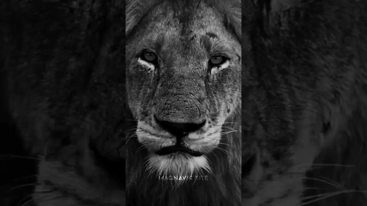 give me more pain 💪 #motivation #billionaire #money #mind