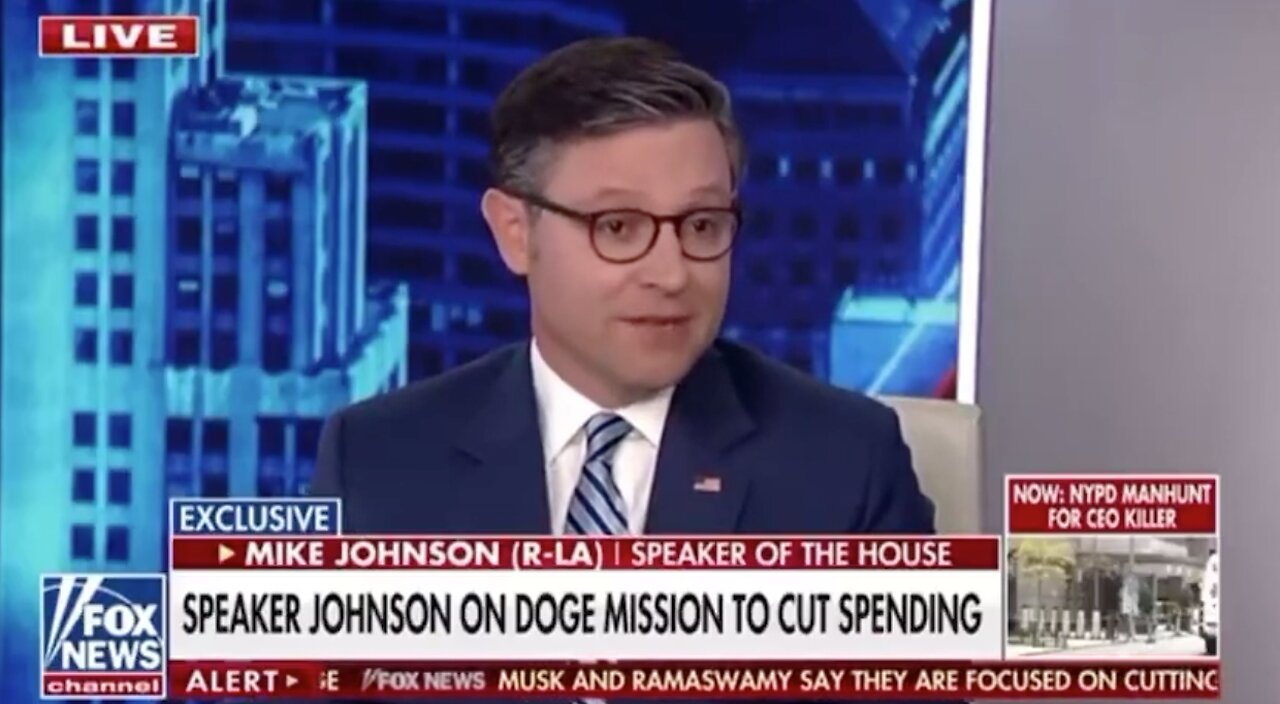 Speaker Johnson on DOGE: There are 493 government agencies, Musk wants to take it down to 99