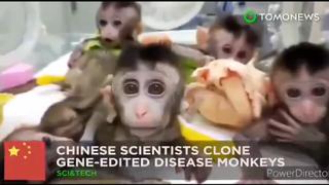 Mad scientists crossing the line creating Monkey-Human hybrids