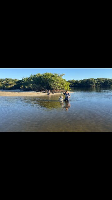 Husky jumps across river