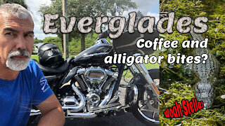 Coffee Hogs: STA 3/4