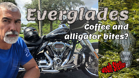 Coffee Hogs: STA 3/4