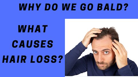 What causes Hair Loss?