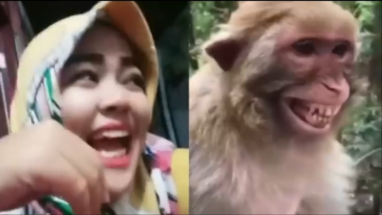 Troll prank on animals and their funny reactions.