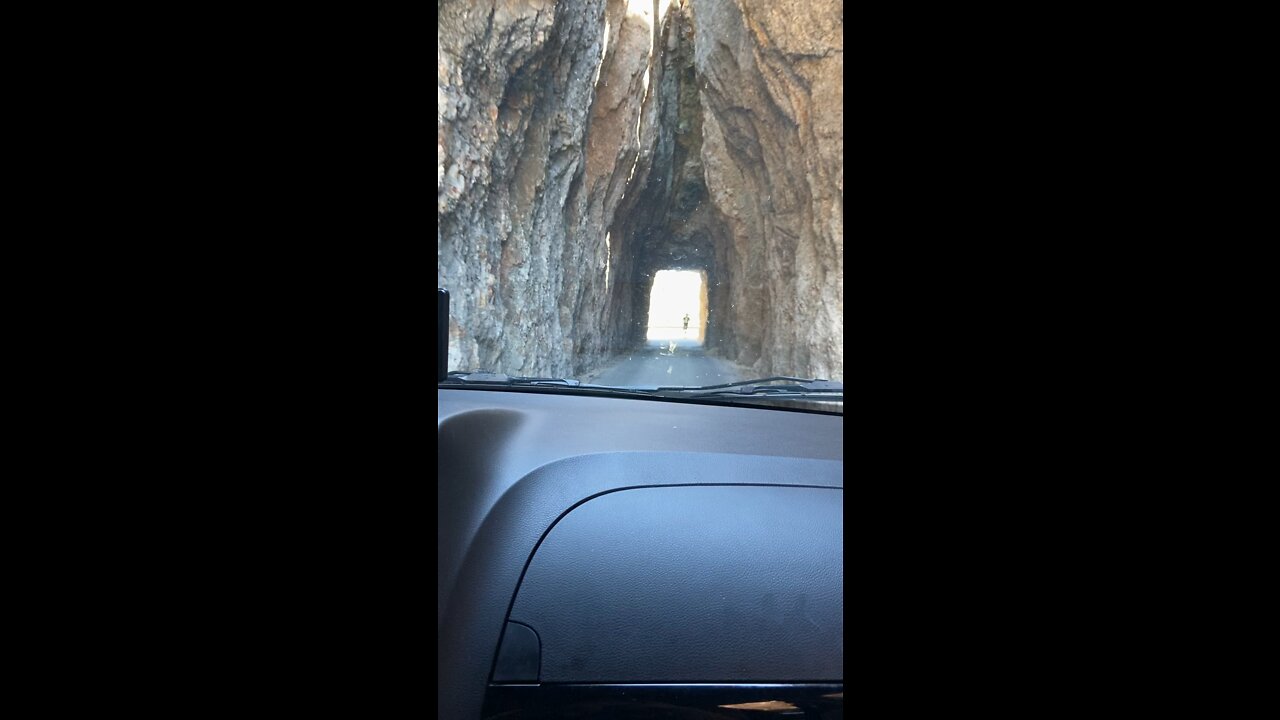 Needles highway