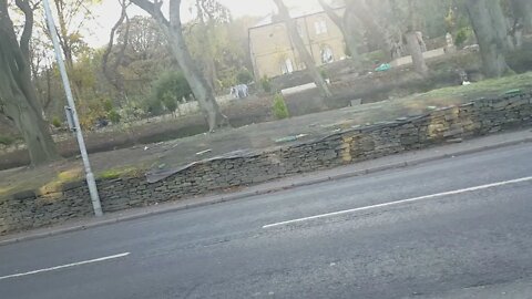 someone has a giraffe and elephant in there garden