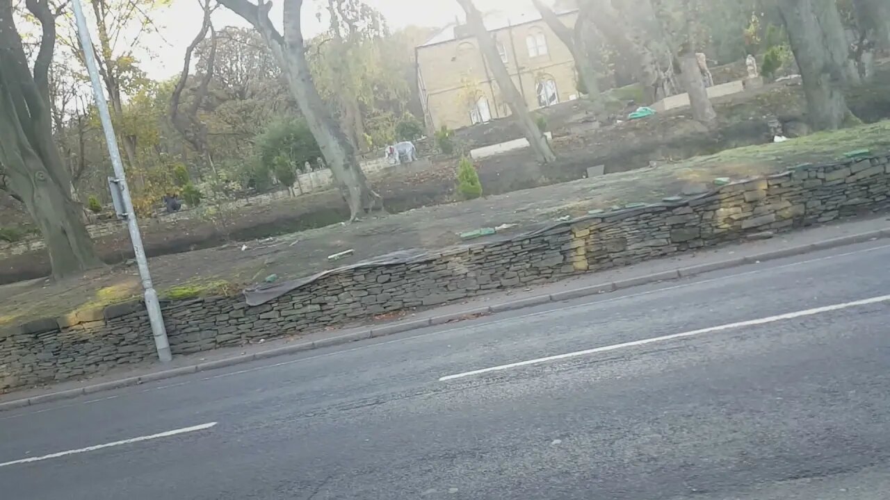 someone has a giraffe and elephant in there garden