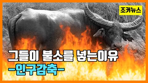 그들은 왜? 불소를 넣었는가 -인구감축-