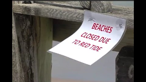 Costly red tide cleanup will last for weeks