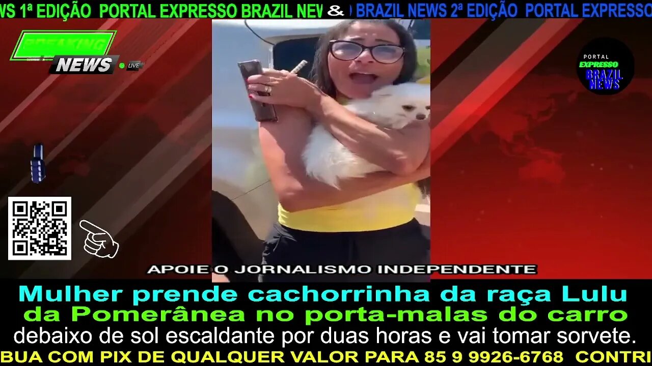 Mulher prende cachorrinha no porta-malas do carro, no sol por duas horas e vai tomar sorvete.