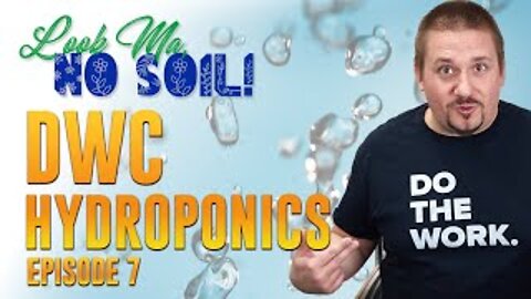 How To Grow HYDROPONICS using DEEP WATER CULTURE. Look Ma, No Soil - Episode 7