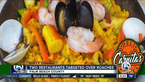 DIRTY DINING: 45 live roaches found inside Lake Worth Latin American restaurant