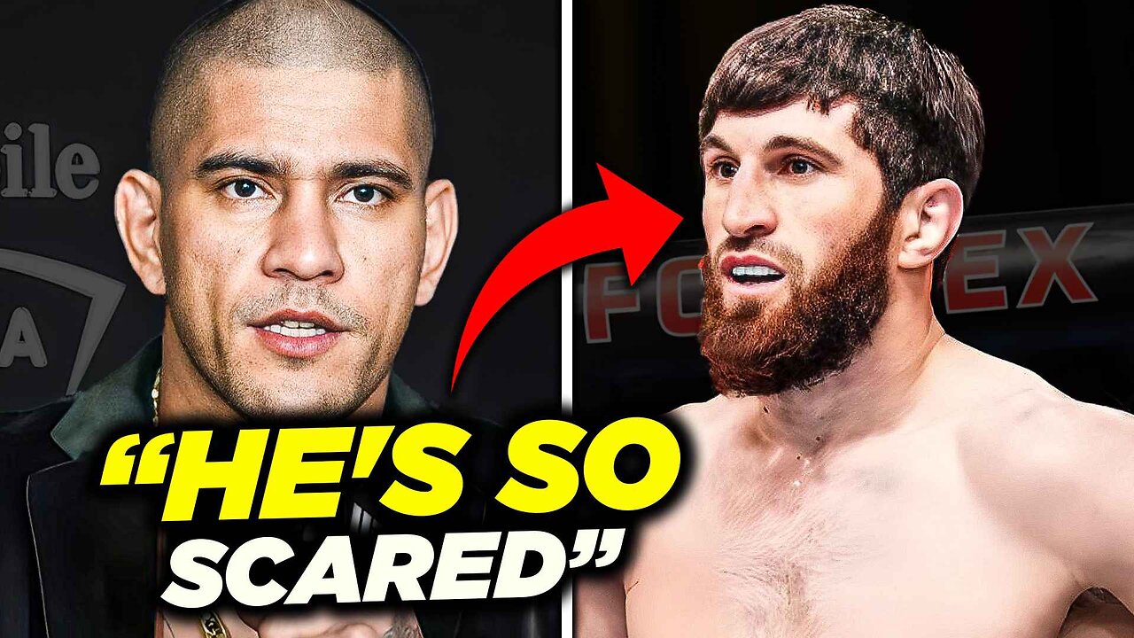 Magomed Ankalev Running Scared? Truth Exposed by Alex Pereira