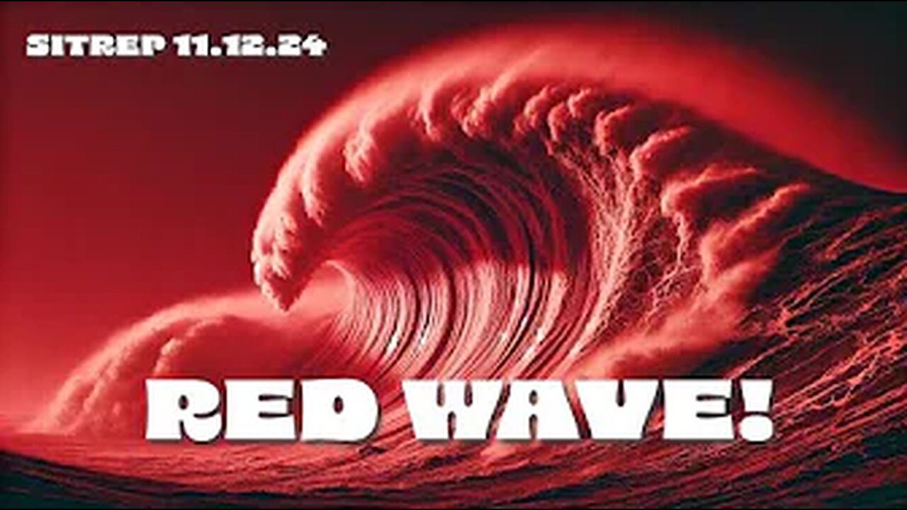 THE Monkey UPDATE 11.12.24 : Red Wave! SITREP,TRUMP AND WHAT'S HAPPENING