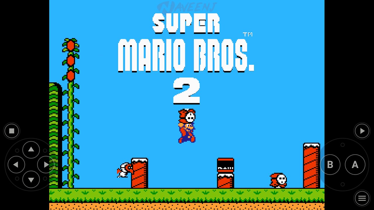 Super Mario Bros. 2 | Super Mario Bros. Sequel | Super Mario USA