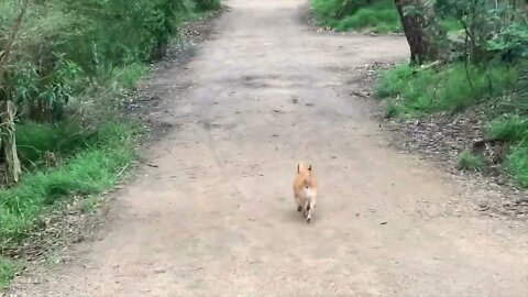 Elise Walking Around Damper Creek