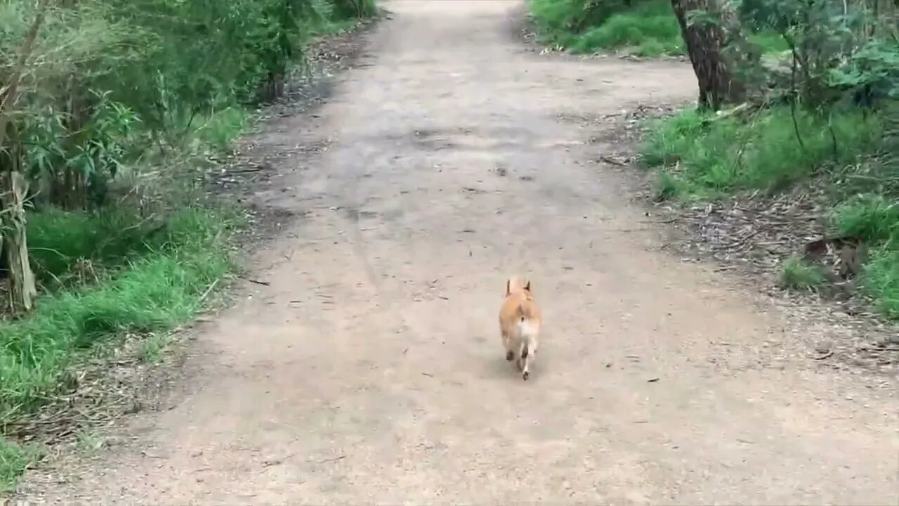 Elise Walking Around Damper Creek