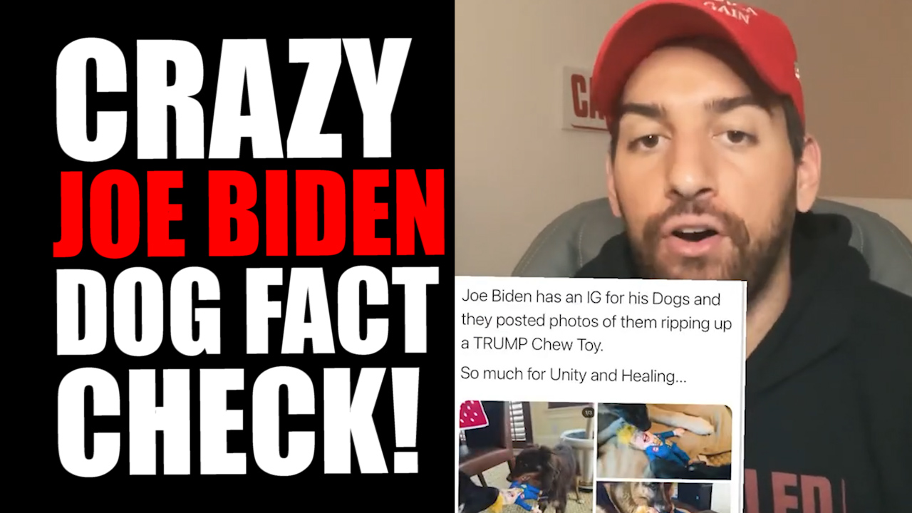 Ridiculous Joe Biden Dog FACT CHECK!