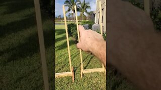 3 target stands for less than $20