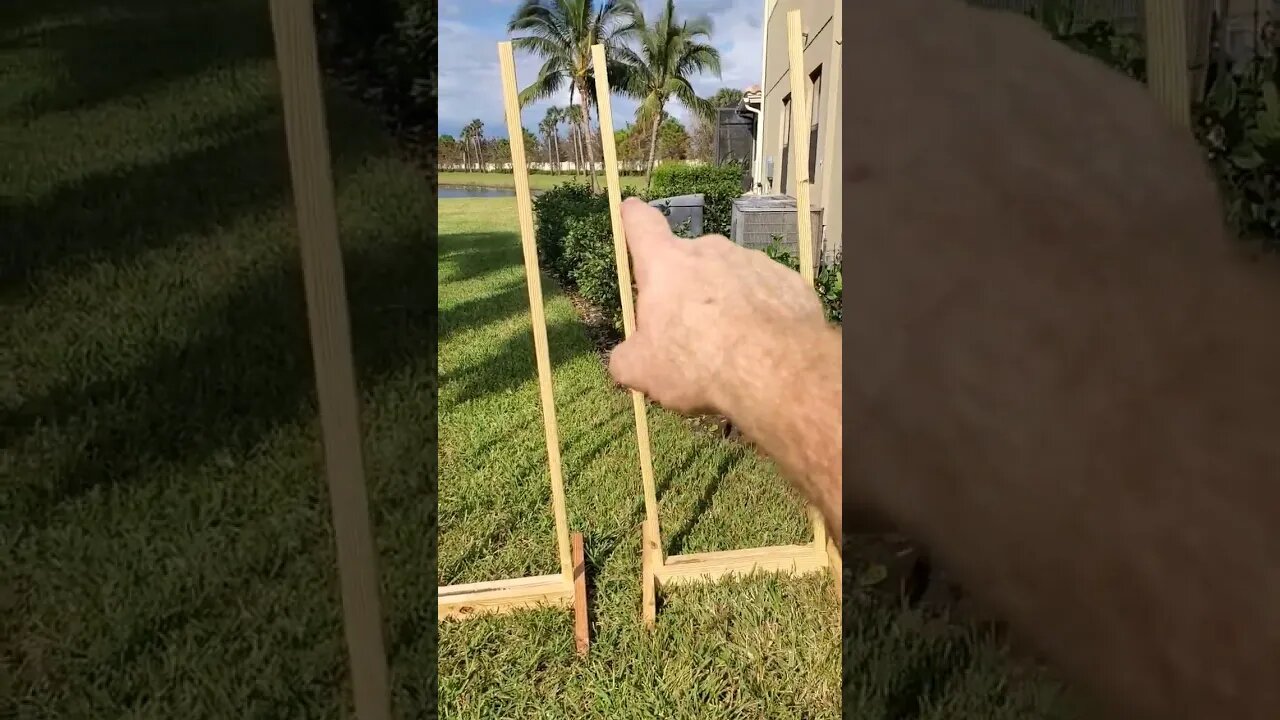 3 target stands for less than $20