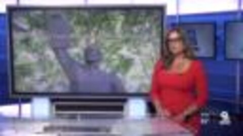 Juneteenth festival goes virtual