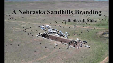 A Nebraska Sandhills Cattle Branding