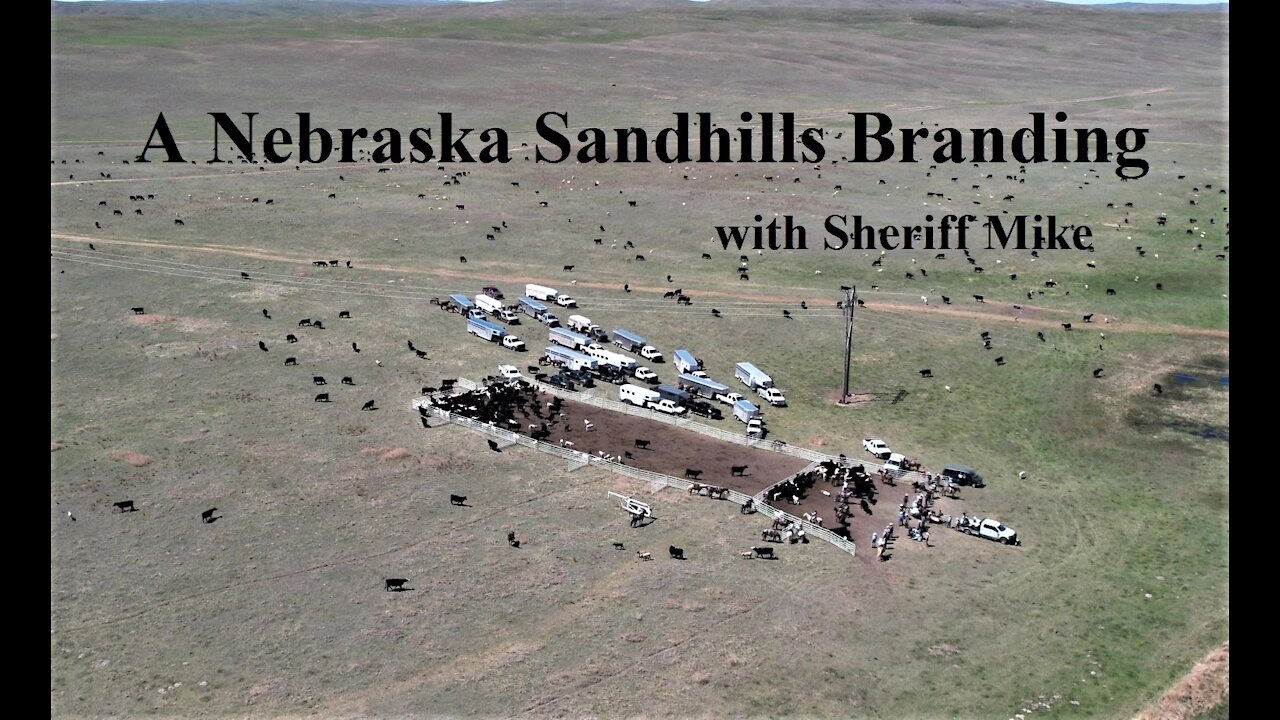 A Nebraska Sandhills Cattle Branding