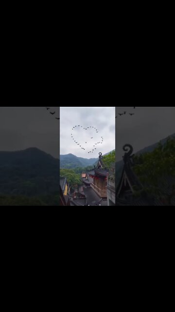 Love status True love