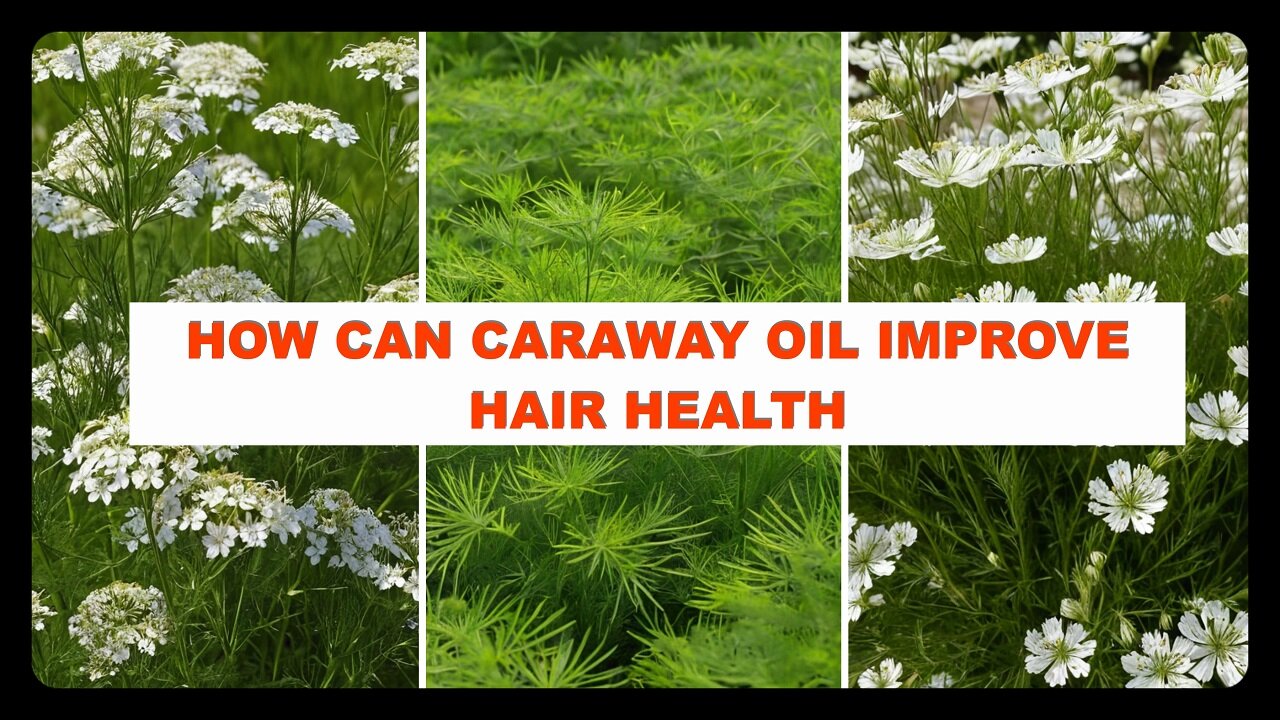 How Can Caraway Oil Improve Hair Health: The Power of Caraway Oil for Healthy Hair