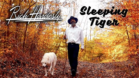 Rich Hardesty Sleeping Tiger