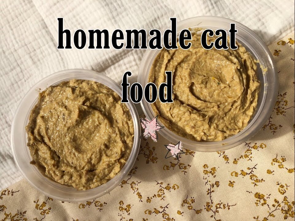 homemade cat food (pate) recipe | how i feed my cat on a budget | happy cat lady vlog