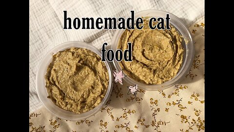homemade cat food (pate) recipe | how i feed my cat on a budget | happy cat lady vlog