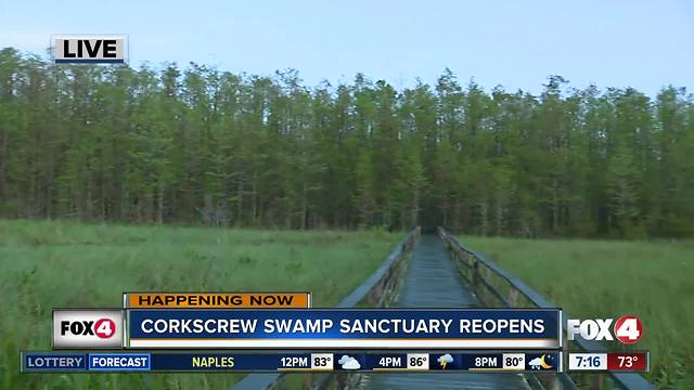 Audubon's Corkscrew Swamp Sanctuary reopens after Irma