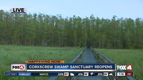 Audubon's Corkscrew Swamp Sanctuary reopens after Irma